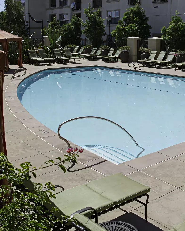 Tanning Ledges