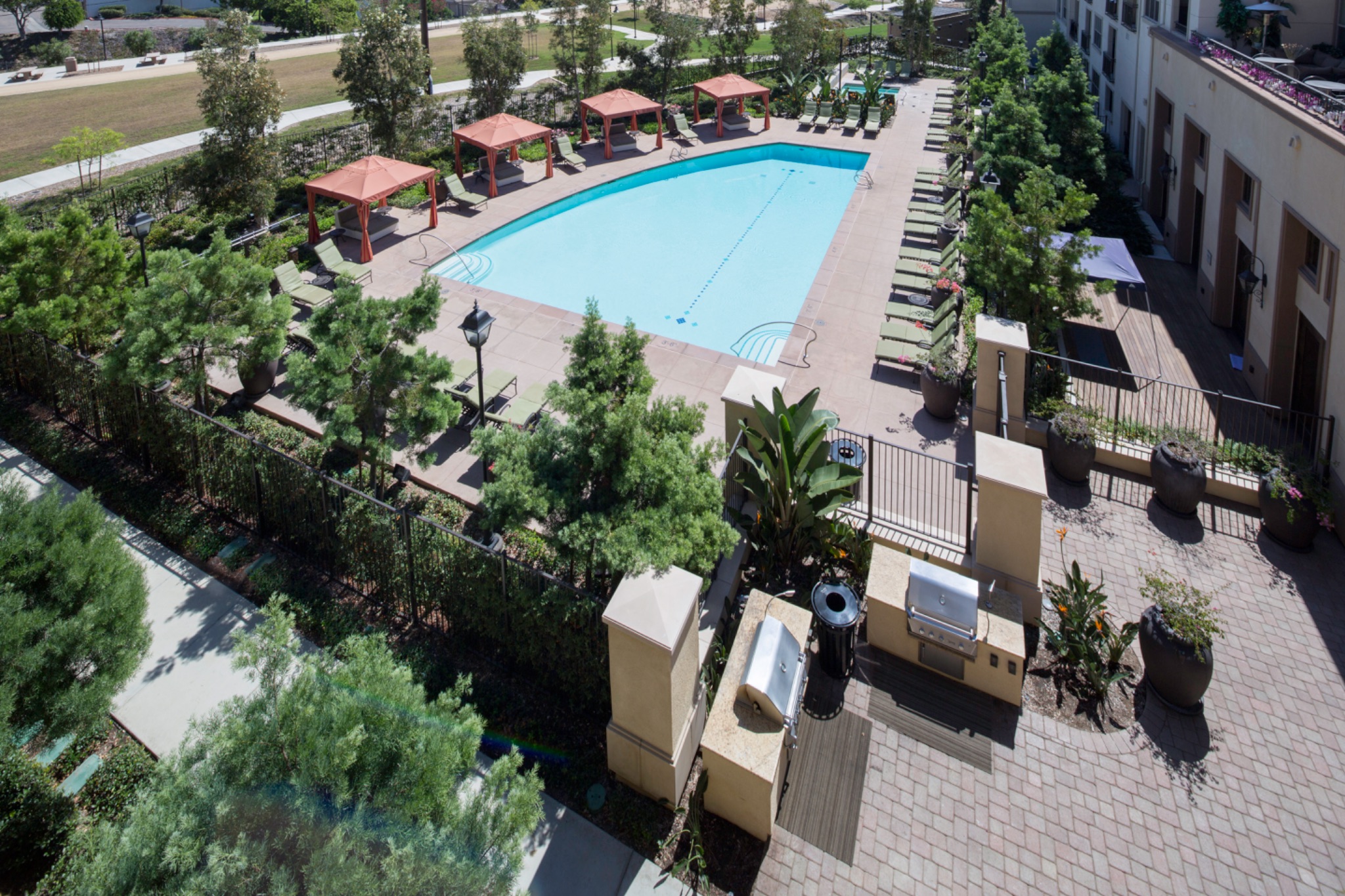 Resort-style commercial lap pool lined with palm trees and cabanas