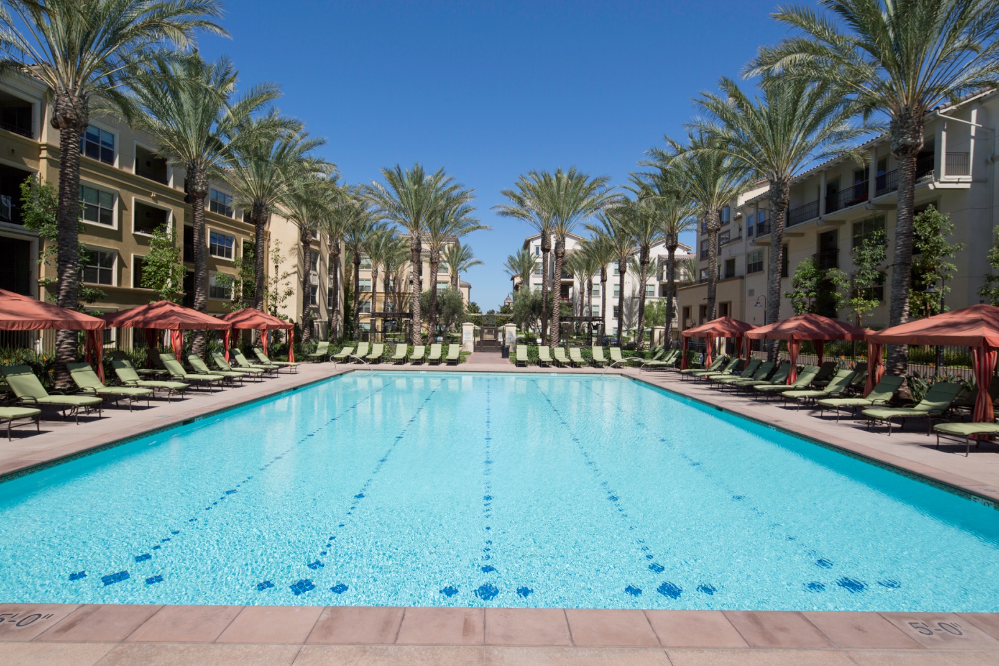 Large resort-style pool lined with palm trees and cabanas