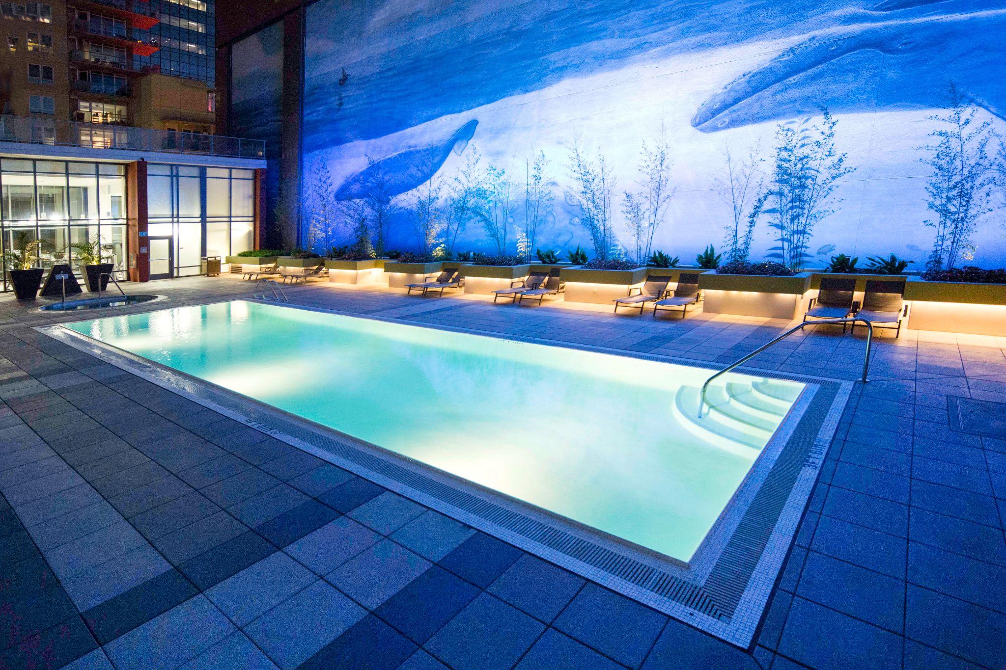 Modern lap pool at night showing the water clarity that cartridge and DE pool filter types deliver alongside LED lighting